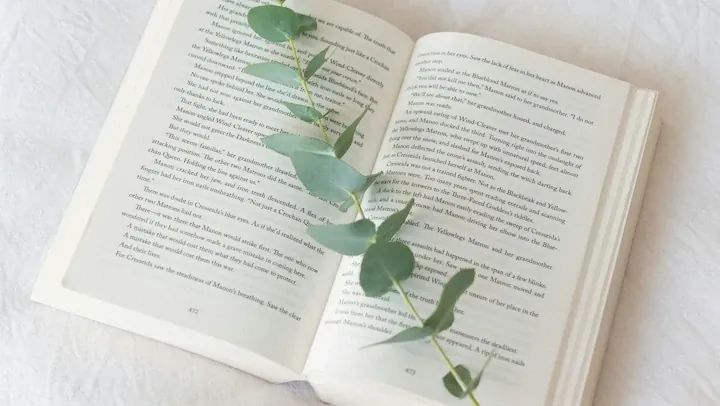 Best plant care app editorial comparison