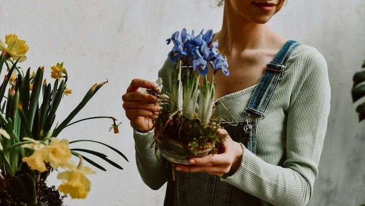 Watering schedule guidance