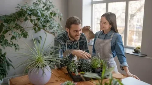 Brown tips on leaves