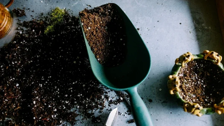 Best indoor soil mix