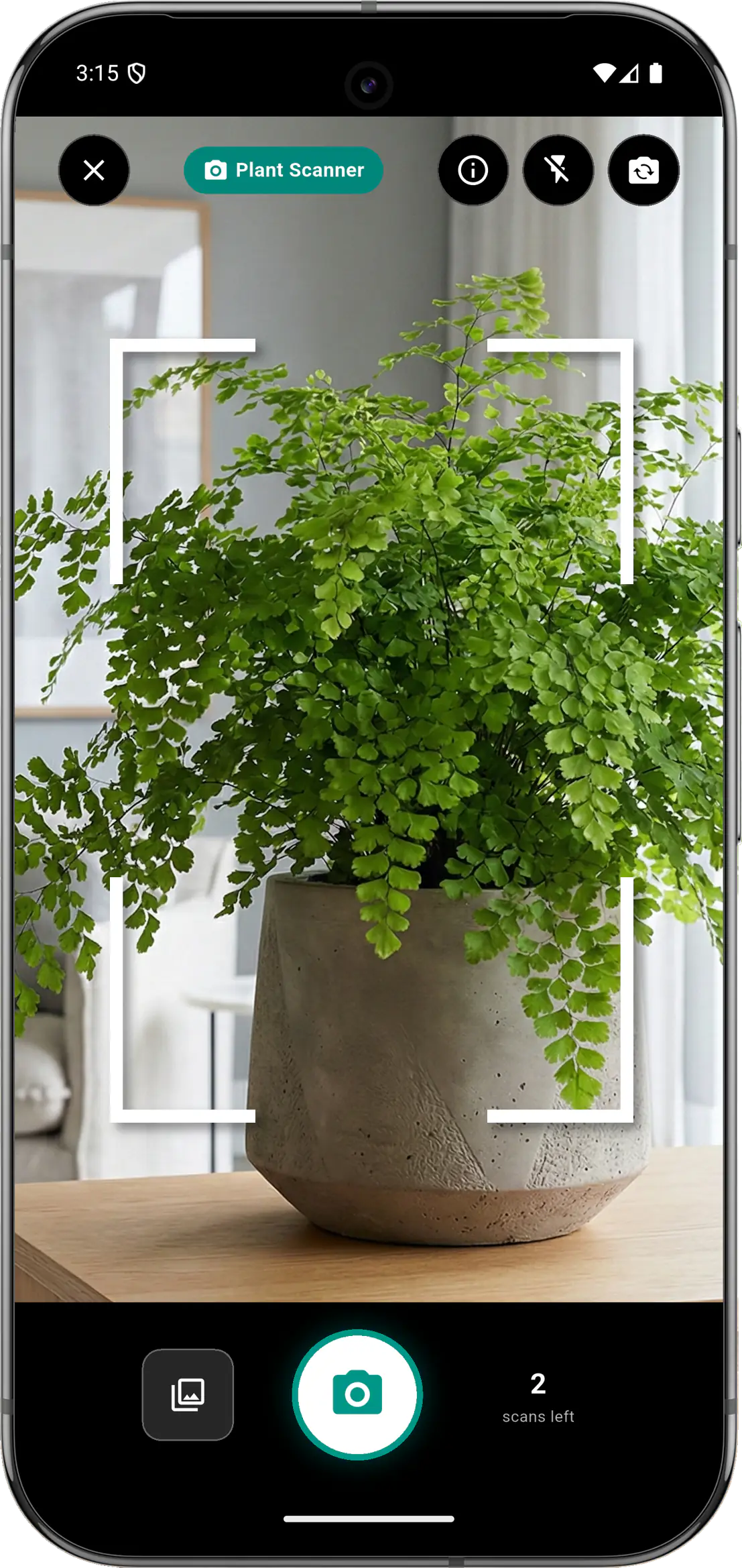 Plant identifier app comparison overview