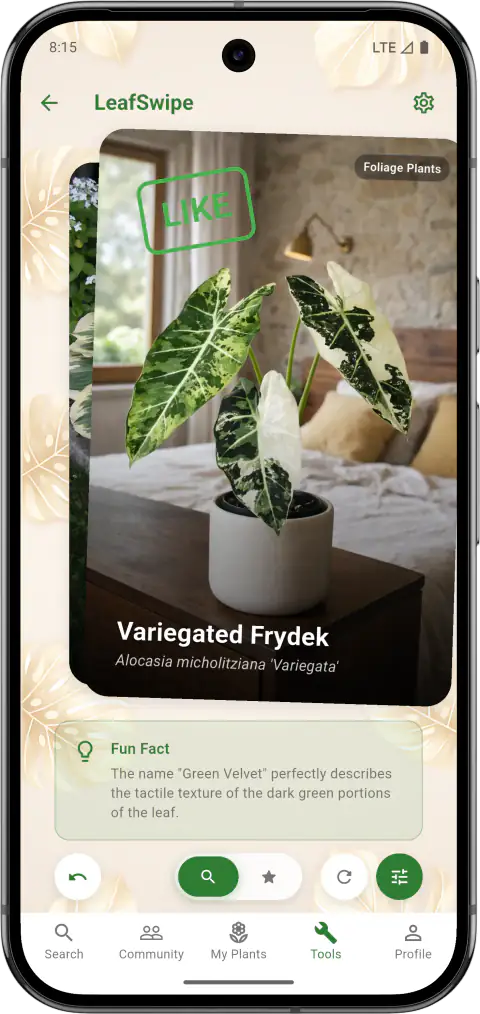 LeafSwipe screenshot