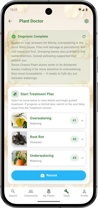 Plant Problem Diagnosis Interface