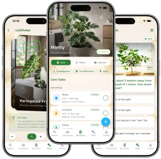 Plantology app screen showing plant care reminders, health tracking, and identification tools